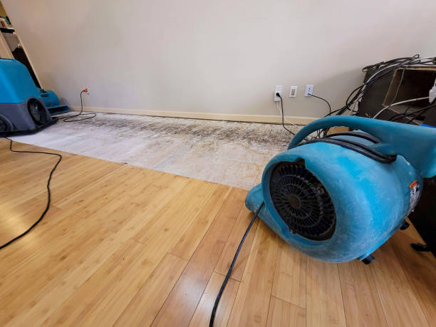 Professional Flood Damage Cleanup technician working in Farmington, MI